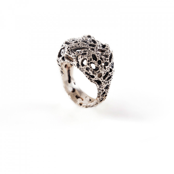 The Coral Ring II