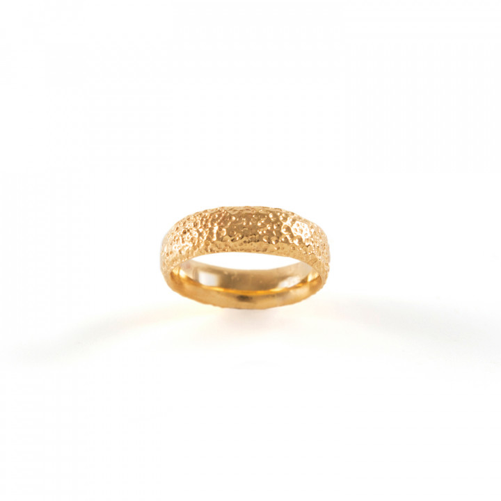 Terra I Δαχτυλίδι