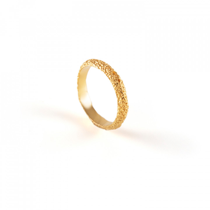 Terra II Ring