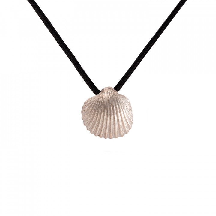 Shell Necklace