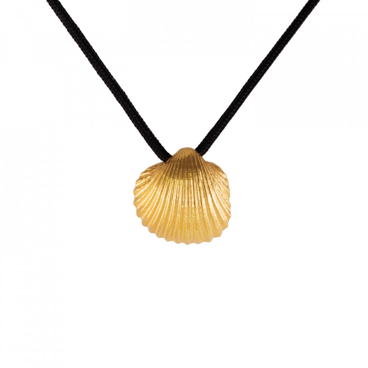 Shell Necklace