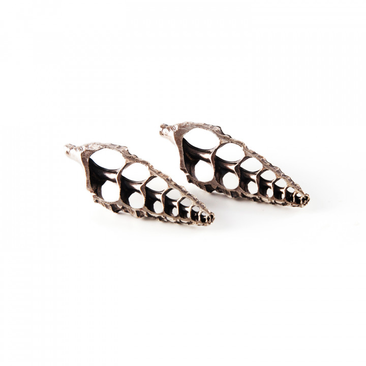 The Lost Shell Σκουλαρίκια III