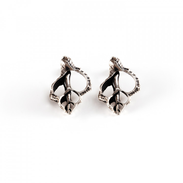 The Lost Shell Earrings II