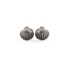Shell Earrings