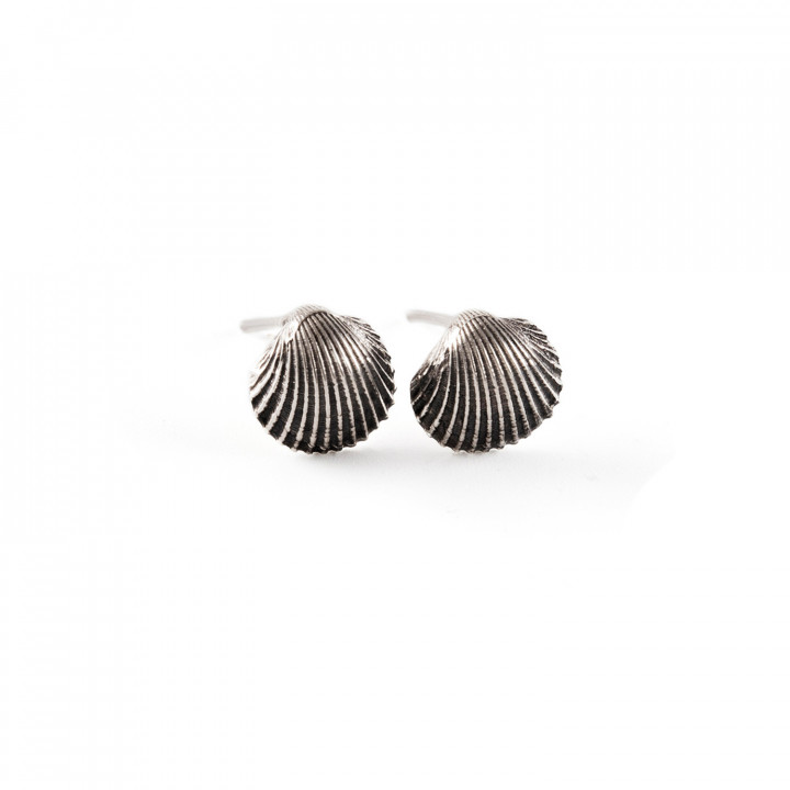 Shell Σκουλαρίκια