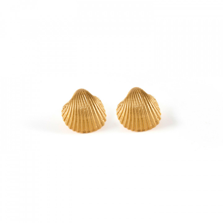 Shell Σκουλαρίκια