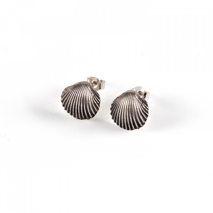 Shell Earrings Mini