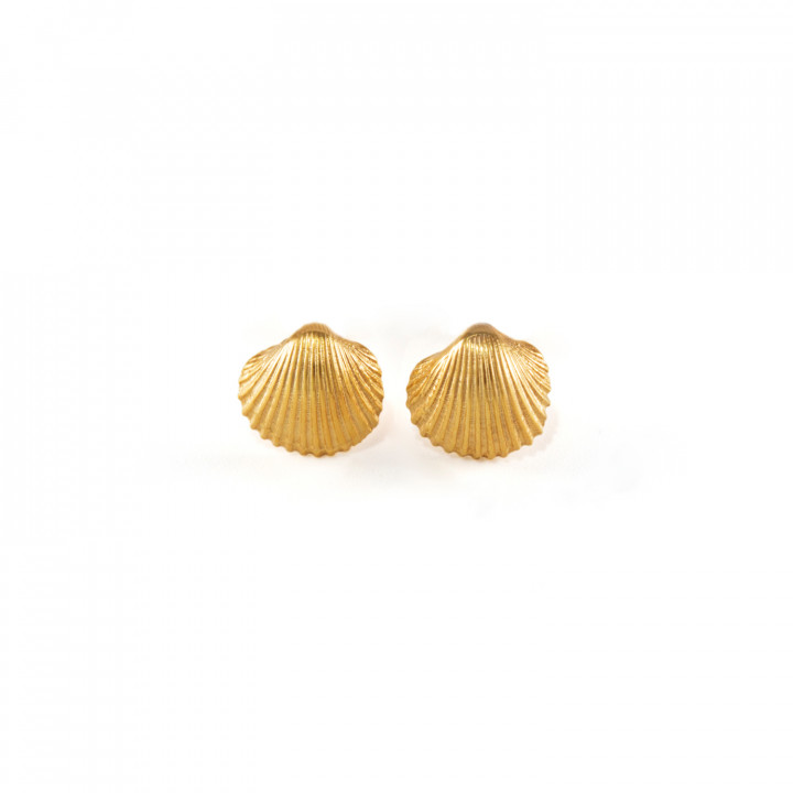 Shell Σκουλαρίκια Mini