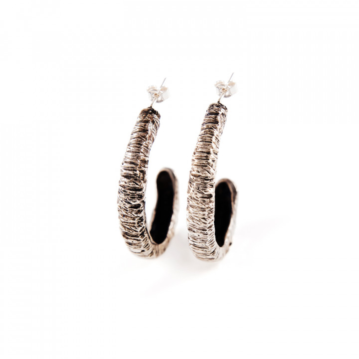 The Horn Earrings