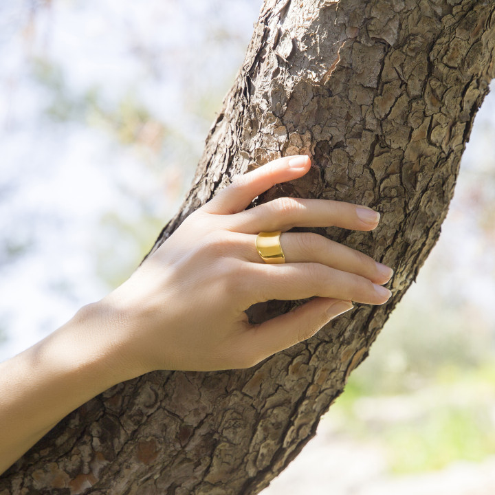 The Flow Δαχτυλίδι