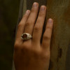 Omnia Ring