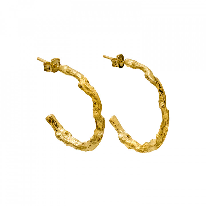 Thallus Twig Hoops I