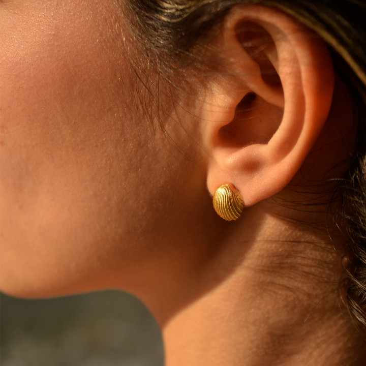 Shell Σκουλαρίκια Mini