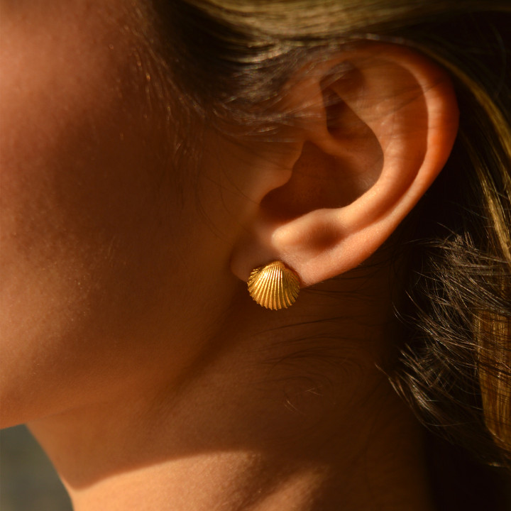 Shell Σκουλαρίκια Mini